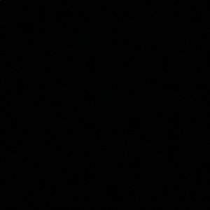 Meet your Posher, Cash